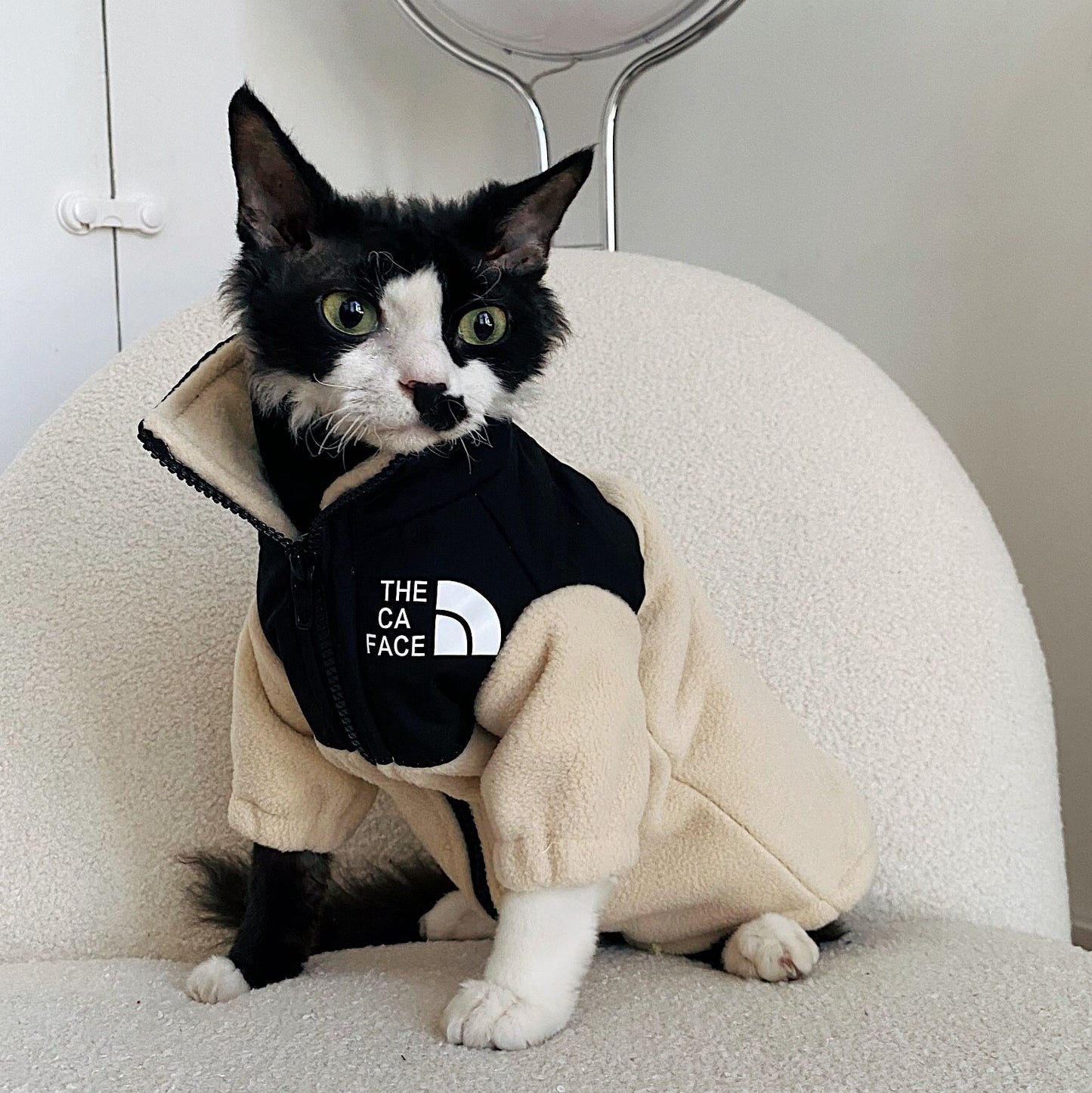 无毛猫衣服 保暖宠物猫衣服