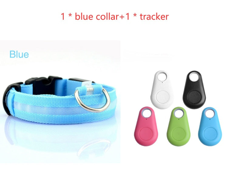 Safety Dog LED Collar