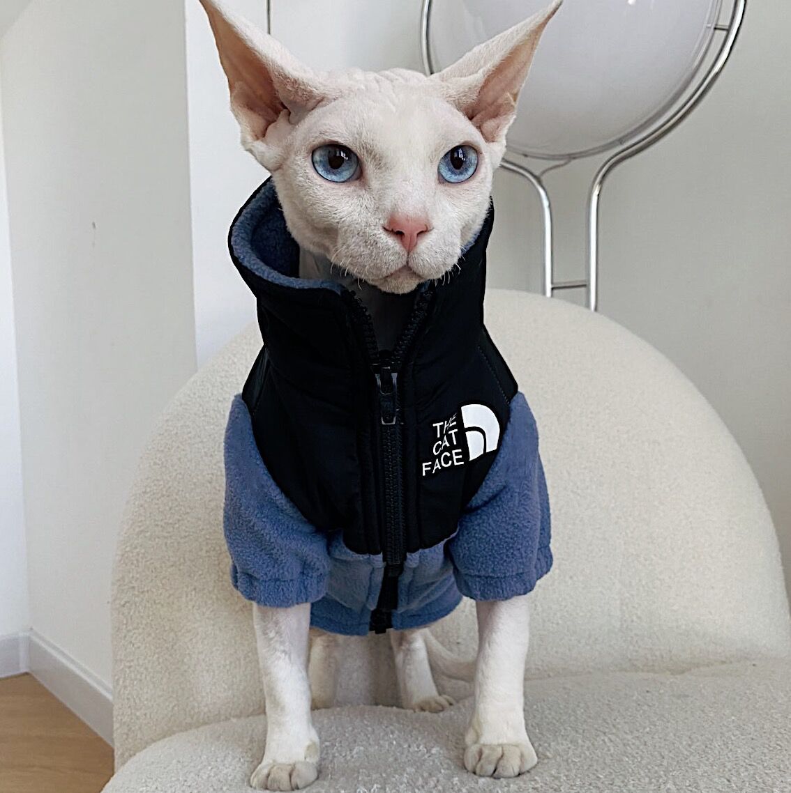 无毛猫衣服 保暖宠物猫衣服