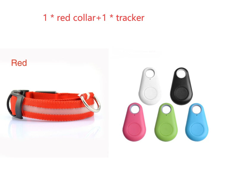 Safety Dog LED Collar