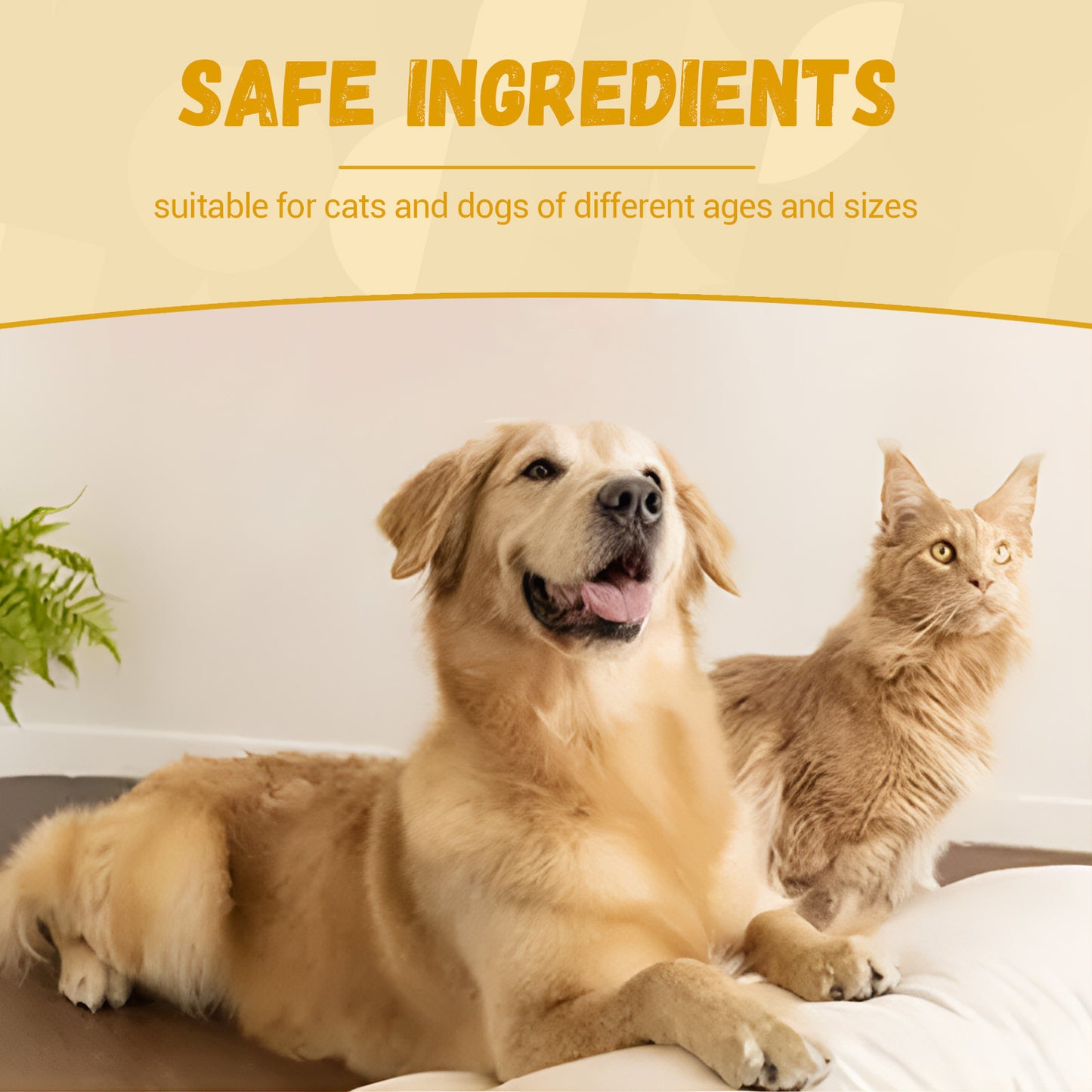 Pet Nutritional Supplements Enhance Energy Vitality