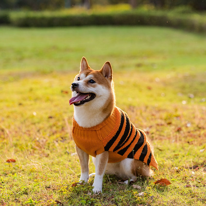 万圣节狗狗毛衣宠物服装泰迪保暖休闲毛衣角色扮演狗狗服装宠物服装