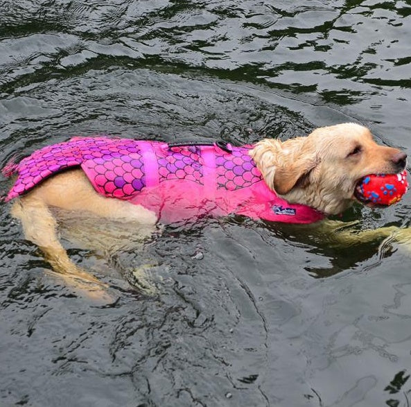 Pet life jacket