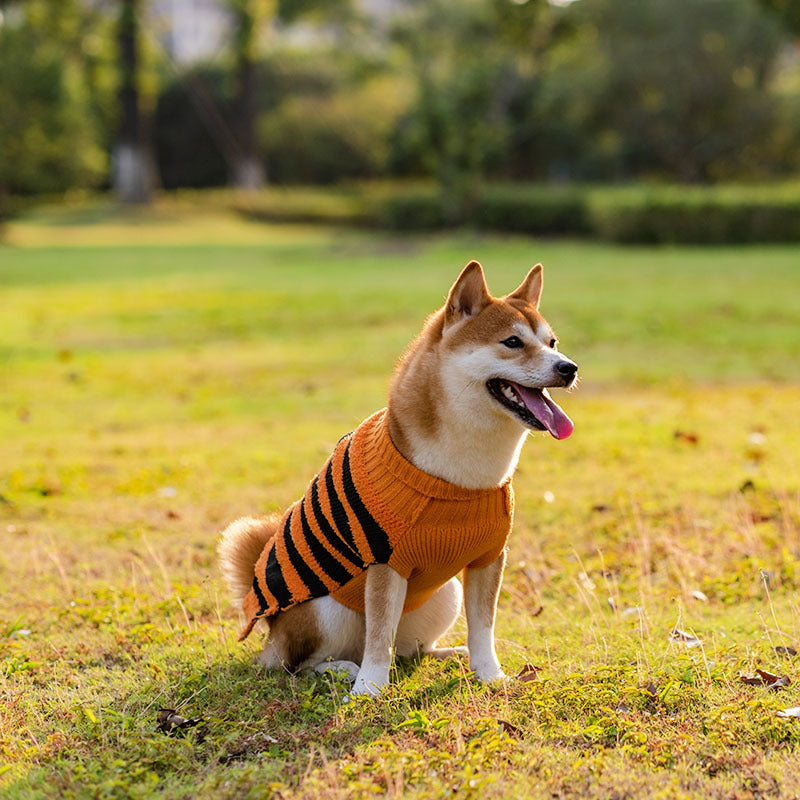 万圣节狗狗毛衣宠物服装泰迪保暖休闲毛衣角色扮演狗狗服装宠物服装