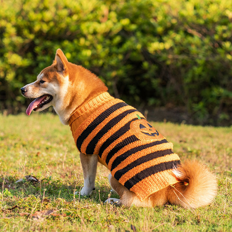 万圣节狗狗毛衣宠物服装泰迪保暖休闲毛衣角色扮演狗狗服装宠物服装