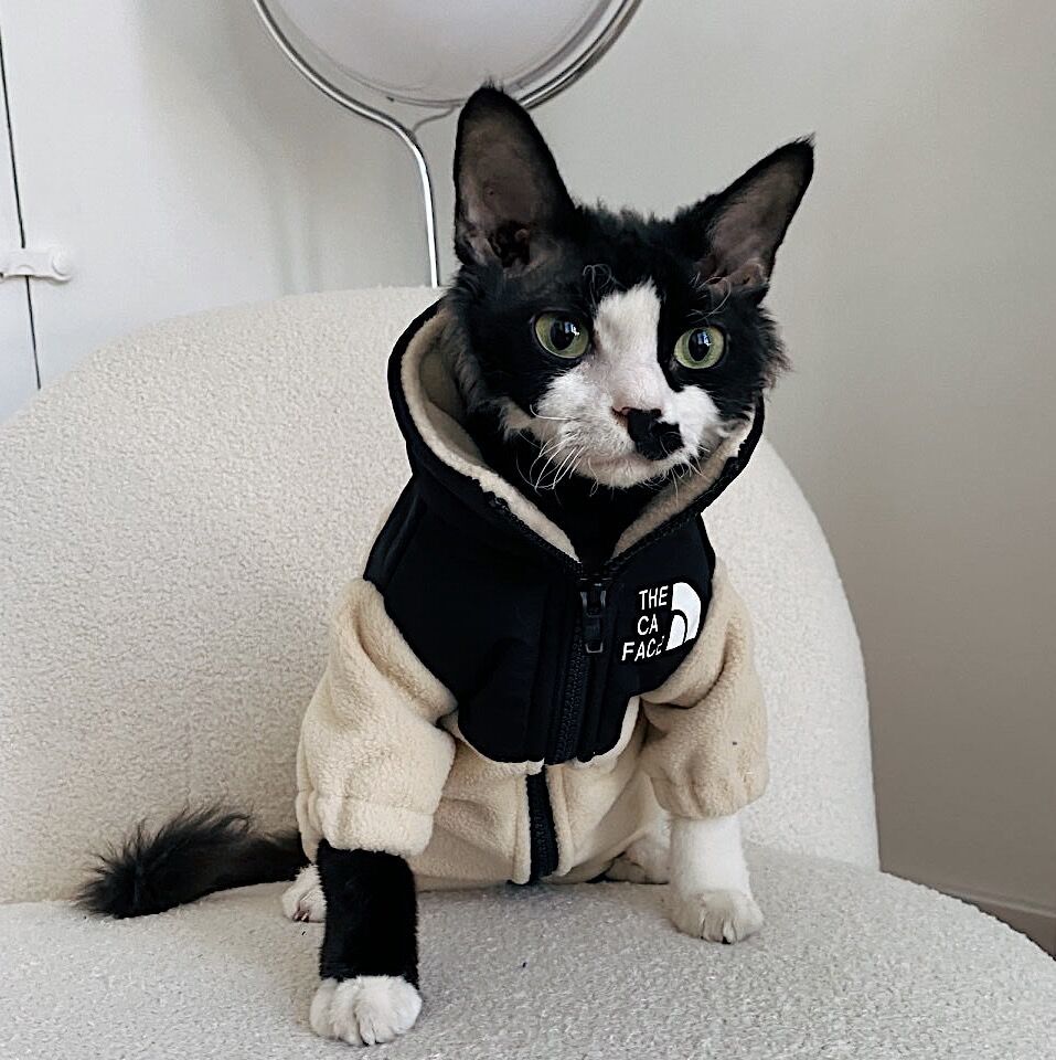 无毛猫衣服 保暖宠物猫衣服