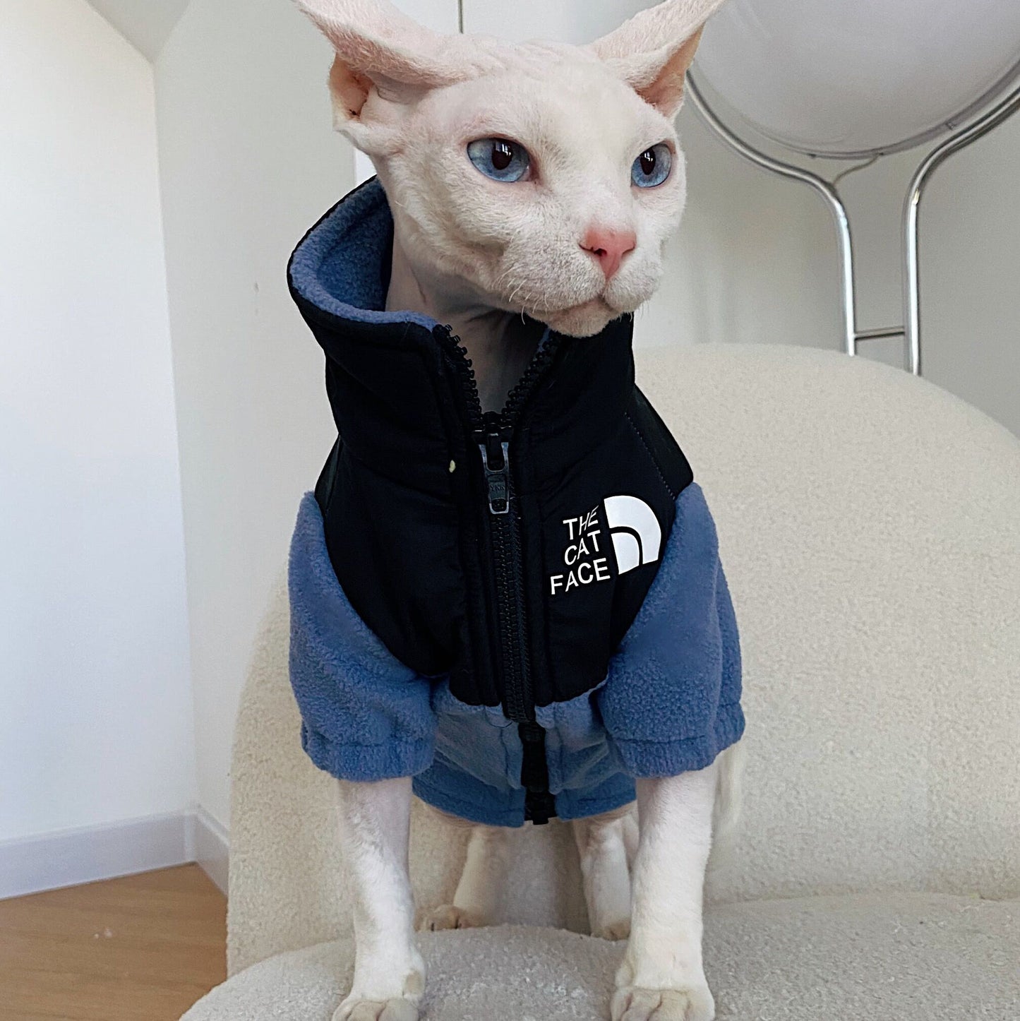 无毛猫衣服 保暖宠物猫衣服