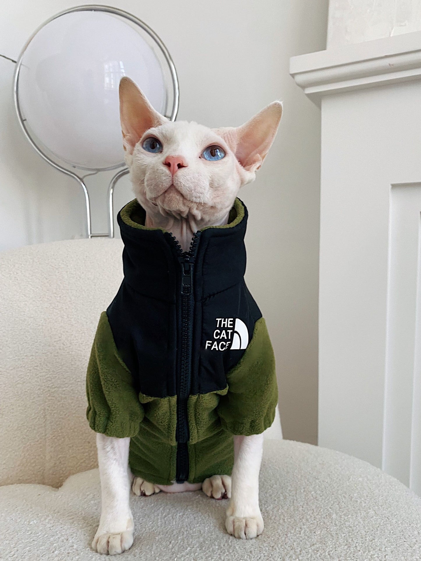 无毛猫衣服 保暖宠物猫衣服